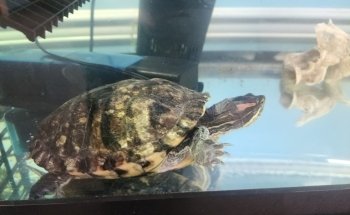 Seaside Nature Center