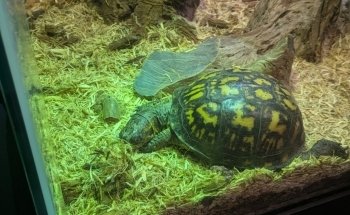 Seaside Nature Center