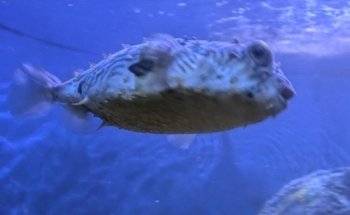 Seaside Nature Center