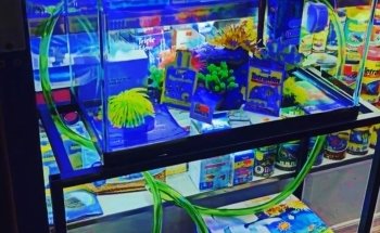 COSMO AQUARIUM Fish Store