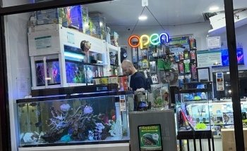 COSMO AQUARIUM Fish Store