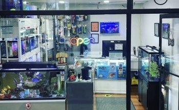COSMO AQUARIUM Fish Store