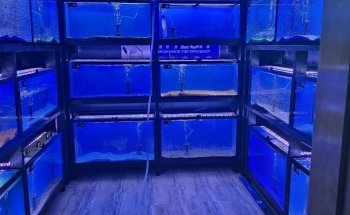 CB'S Tropical Aquarium