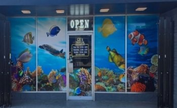 CB'S Tropical Aquarium