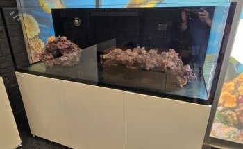 CB'S Tropical Aquarium