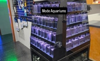 CB'S Tropical Aquarium