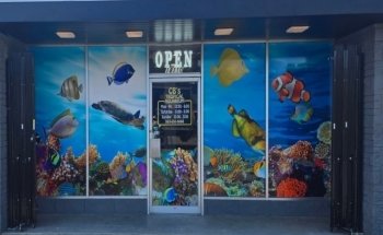 CB'S Tropical Aquarium