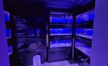 CB'S Tropical Aquarium