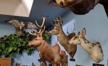 Catawba Science Center