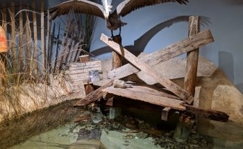 Catawba Science Center