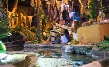 Catawba Science Center