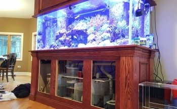 Acuarios Sho Tank