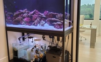 Beital's Aquariums Sales, Services & Ponds