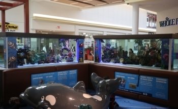 Beital's Aquariums Sales, Services & Ponds