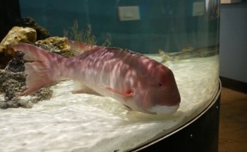 Central Coast Aquarium