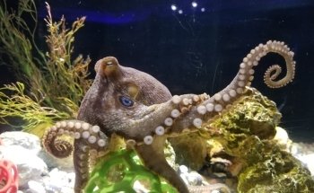 Central Coast Aquarium