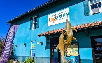 Central Coast Aquarium