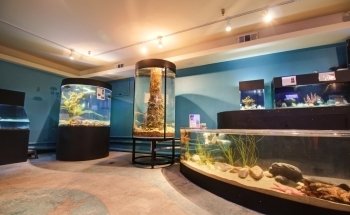 Central Coast Aquarium