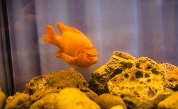 Central Coast Aquarium