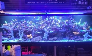 Robert's Reef