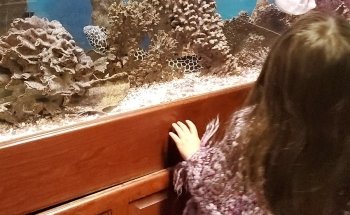 Aquatic Creations Ltd