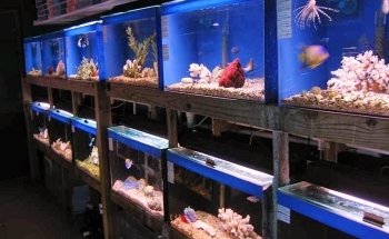 Aquatic Creations Ltd