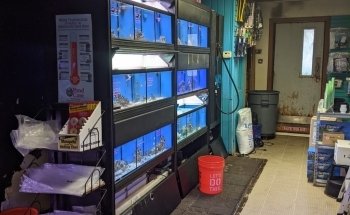 Aquatic Creations Ltd