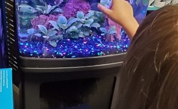 Aquatic Creations Ltd