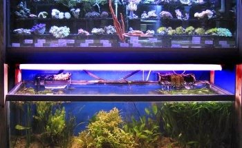 Aquatic Creations Ltd