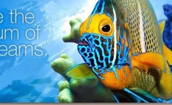 Aquatic Creations Ltd