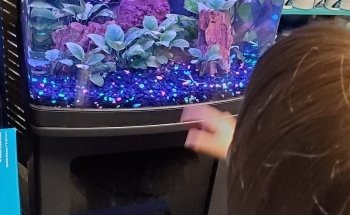 Aquatic Creations Ltd