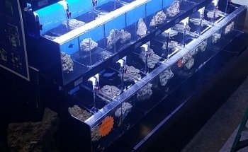 Richmond Aquarium LLC