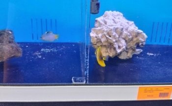 Richmond Aquarium LLC