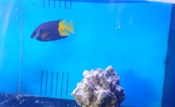 Richmond Aquarium LLC
