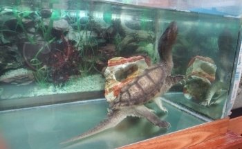 4-H Tidelands Nature Center
