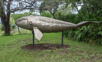 4-H Tidelands Nature Center