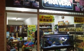 Acuario Pira Vera