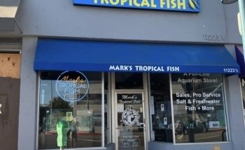 Peces Tropicales de Mark