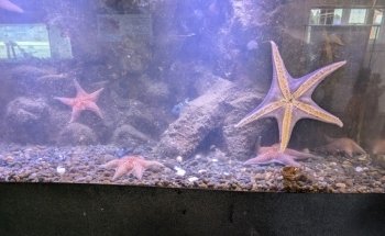 MaST Center Aquarium