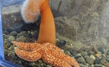 MaST Center Aquarium