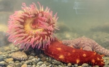 MaST Center Aquarium