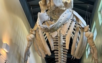 MaST Center Aquarium