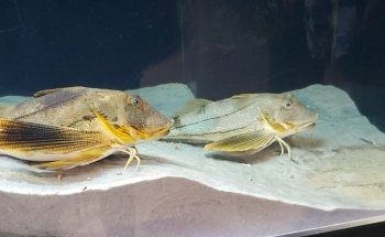 Meigs Point Nature Center