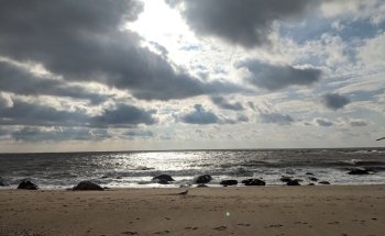Meigs Point Nature Center
