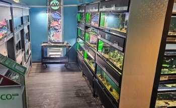 Whitlyn Aquatics, LLC