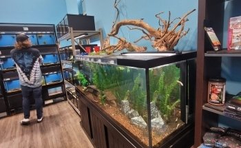 Whitlyn Aquatics, LLC
