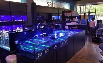 Picasso Exotic Aquatics
