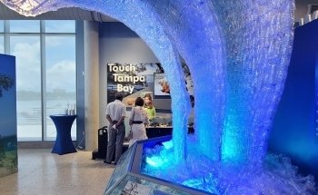Tampa Bay Watch Discovery Center