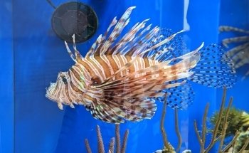 Tampa Bay Watch Discovery Center