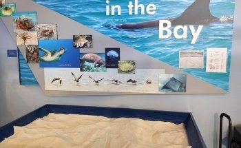 Tampa Bay Watch Discovery Center